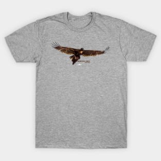 Wedgetail Eagle_01C T-Shirt